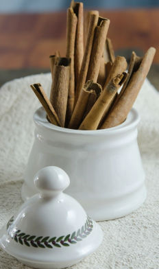 cinnamon sticks